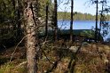 41--Maentyharju-Peltolan-perheen-moekki